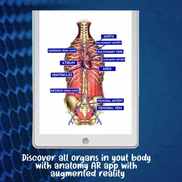 Educational Anatomy AR 4D - Virtual T-Shirt - Image 5